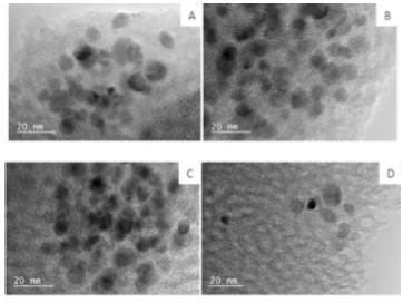 Spin transport in magnetically