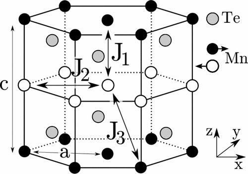 Spin transport in magnetically