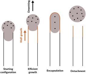 Spin transport in magnetically